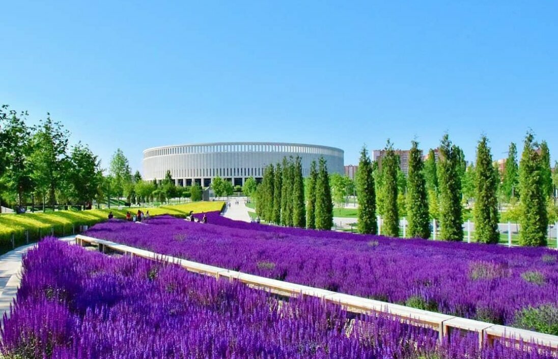 Гостиница Краски Краснодар-42